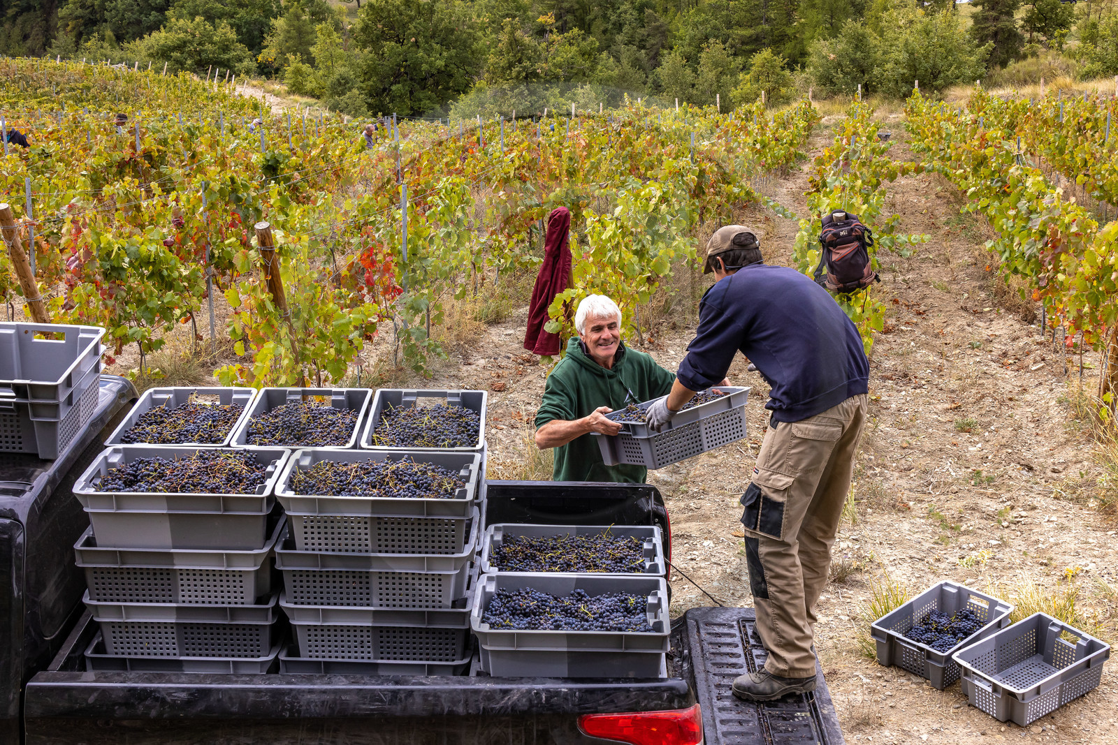 Domaine du Mont Guillaume