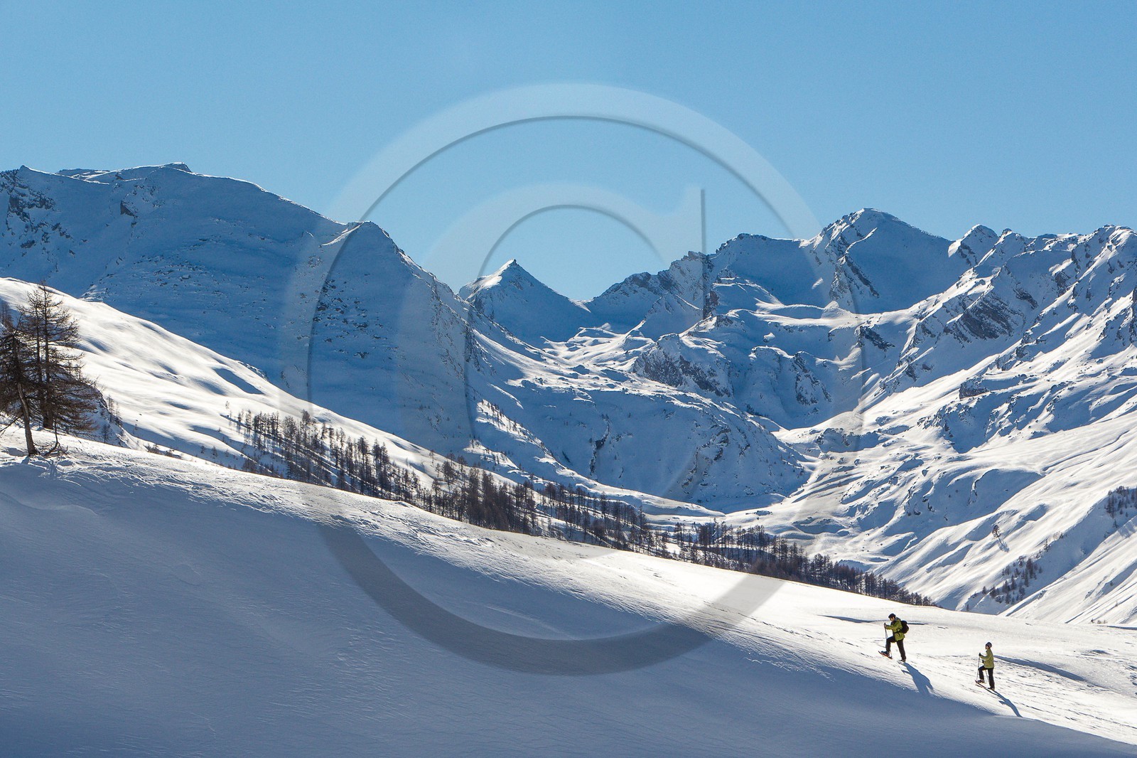 Col de Larche, vallon du lauzanier, randonnée raquettes
