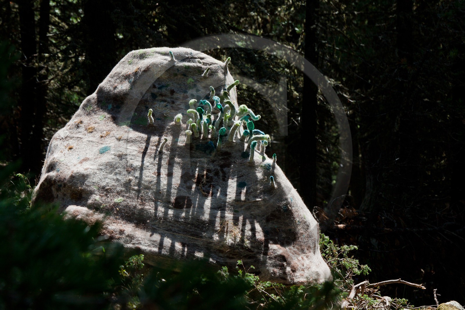 Sentiers Art et Nature Queyras et Val Varaita, Stéphanie Cailleau