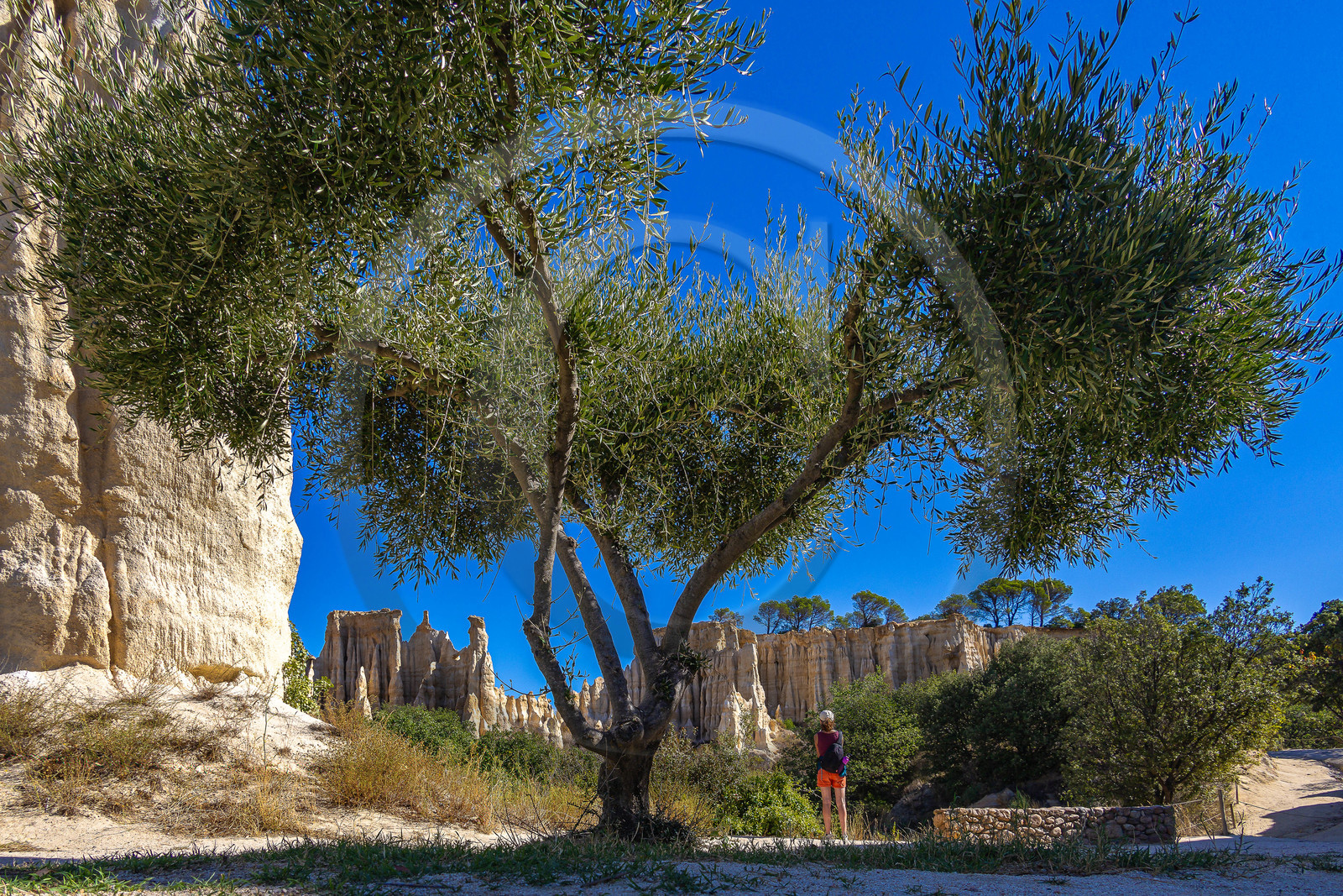 Orgues d'Ille-sur-Têt