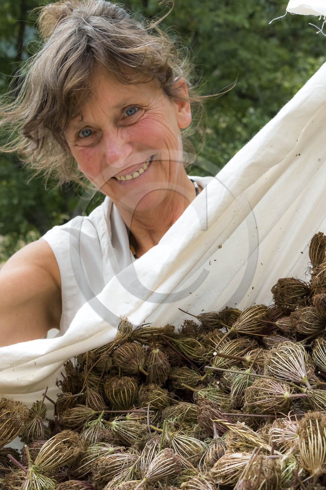 Des roses et des orties, Marie-Jo Etienne