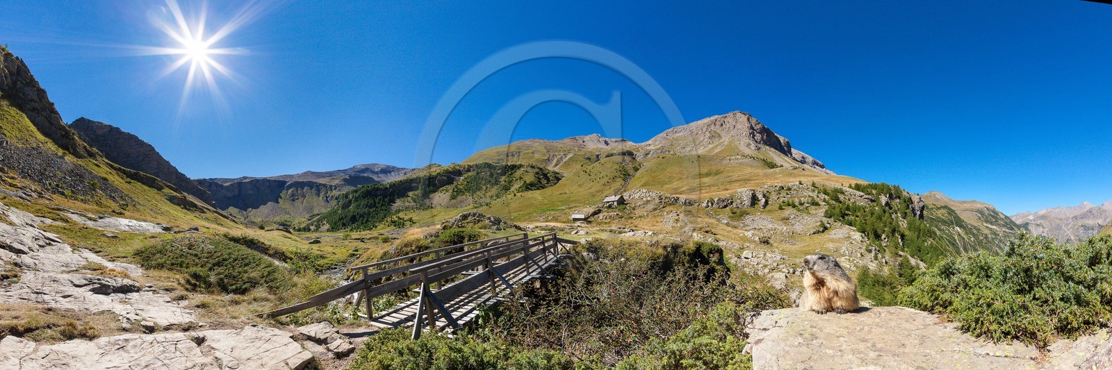 Randonnée vers le Saut du Laire, marmotte