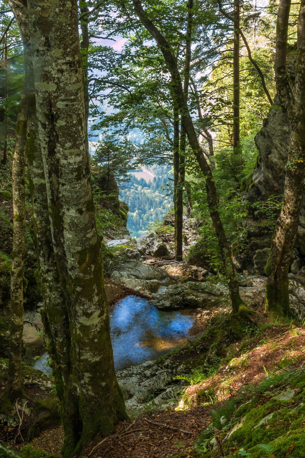 ENS de l'Isère, Les Ecouges