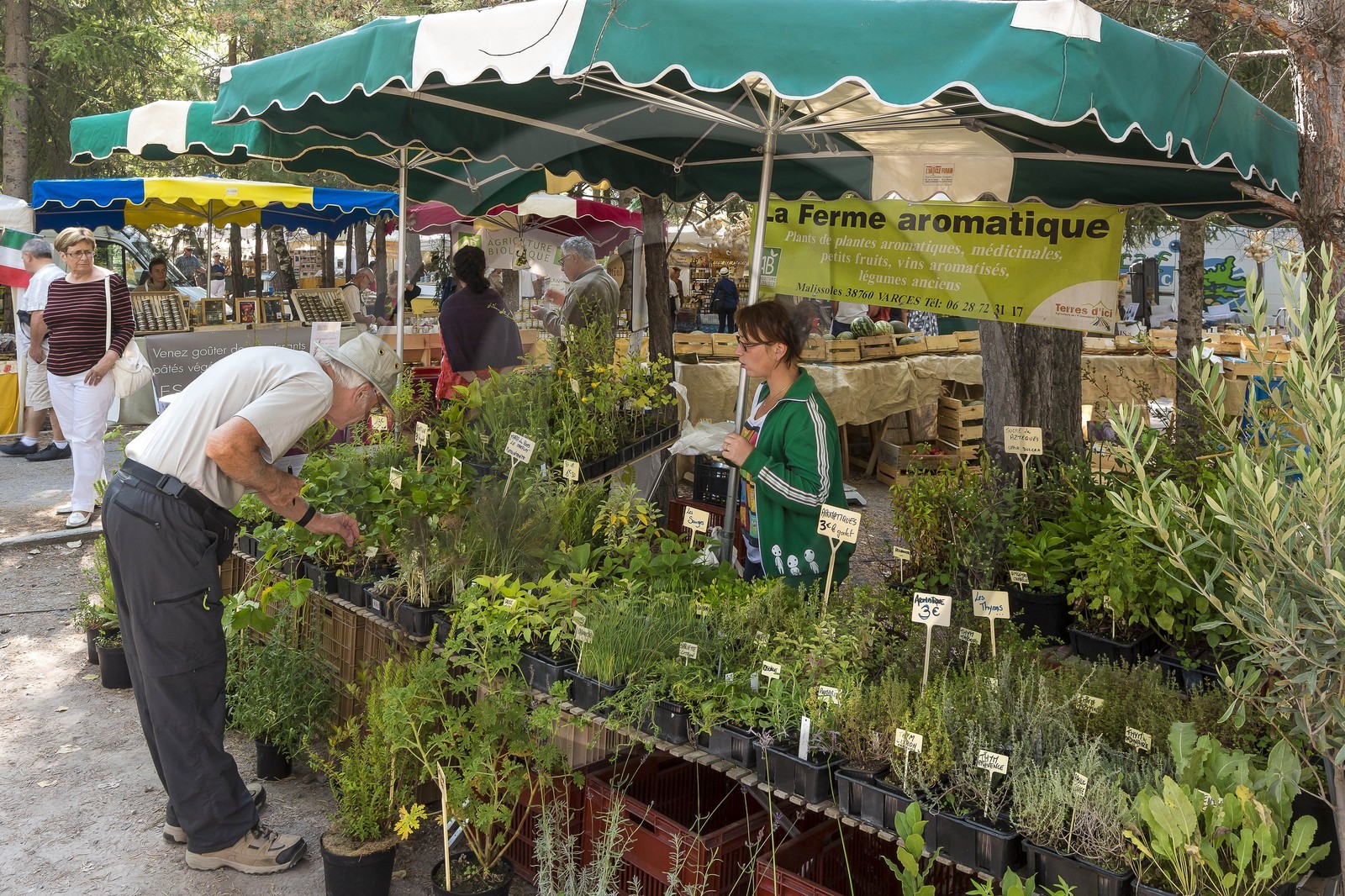 Embrun, Foire Génépi, foire bio