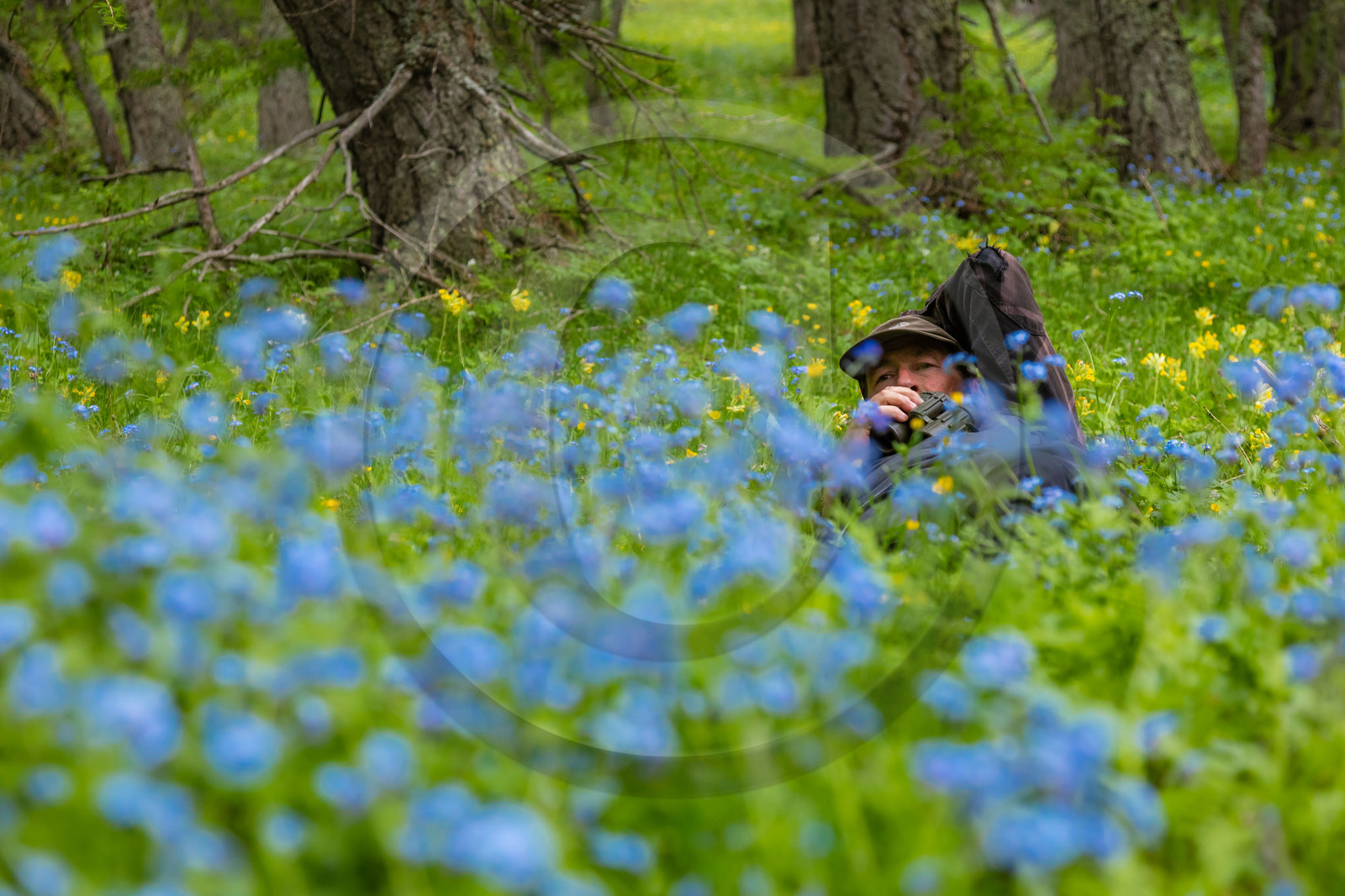 Film : La vallée des loups