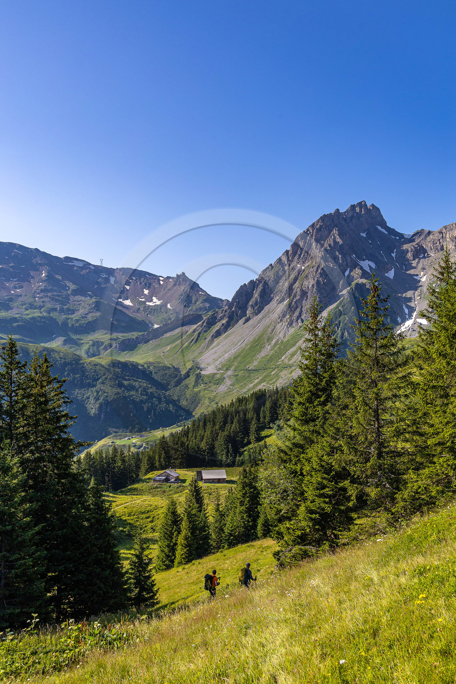 Réserve Naturelle des Contamines-Montjoie, randonnée pédestre
