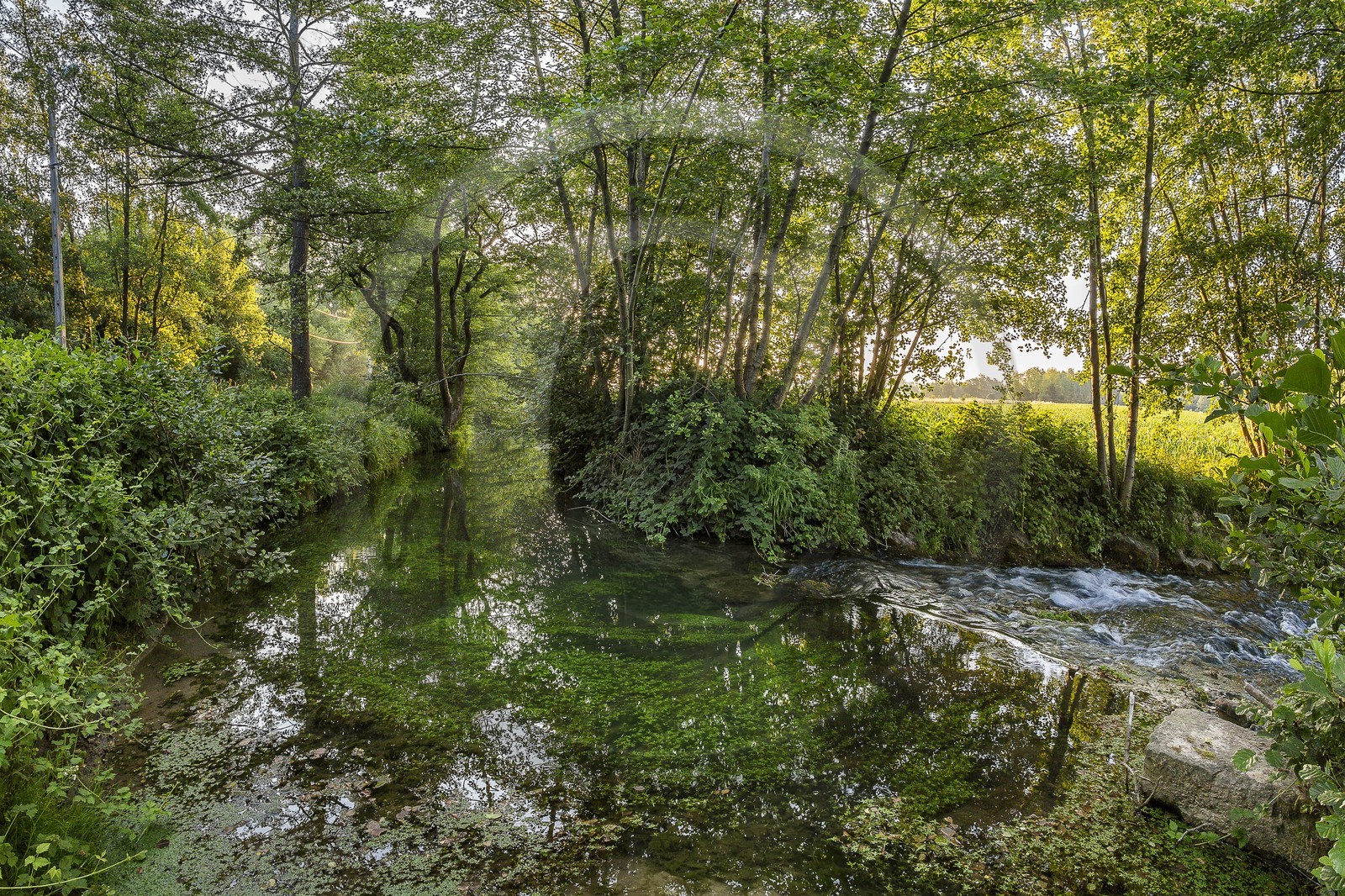 ENS de l'Isère, Prairies inondables de Pont-Évêque