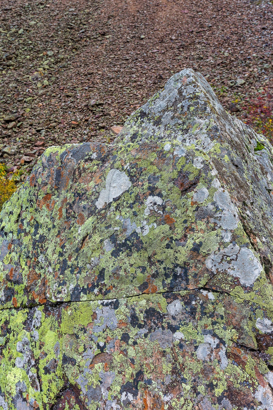 Vallée de la Bonne, village Le Désert