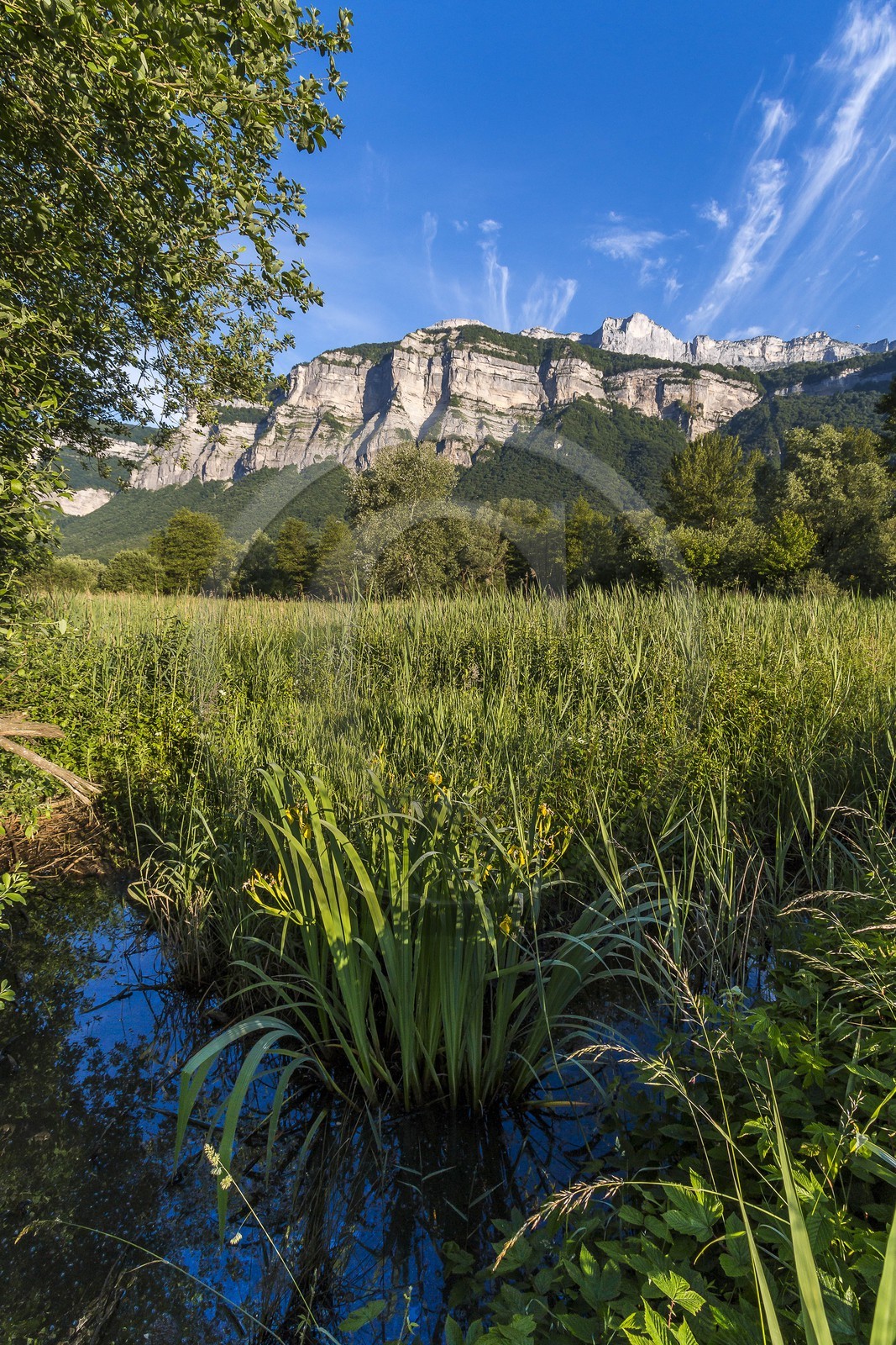 ENS de l'Isère, Marais de Montfort