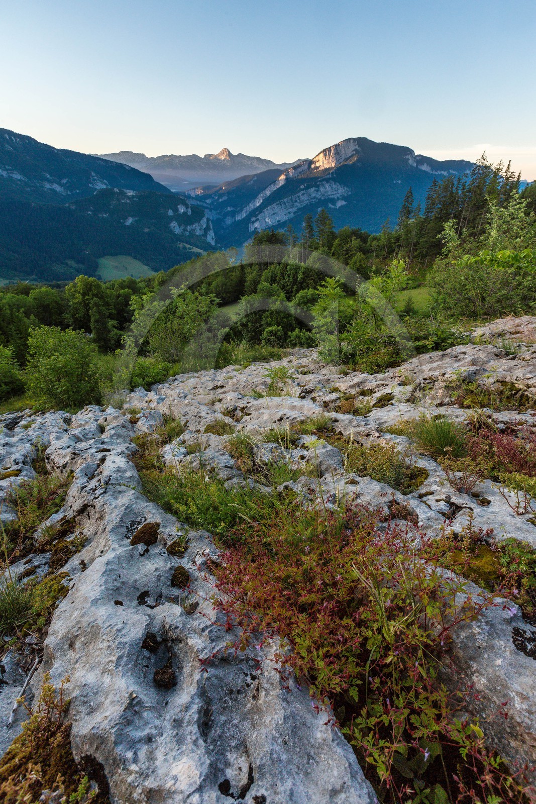 ENS de l'Isère, vallée fossile des Rimets
