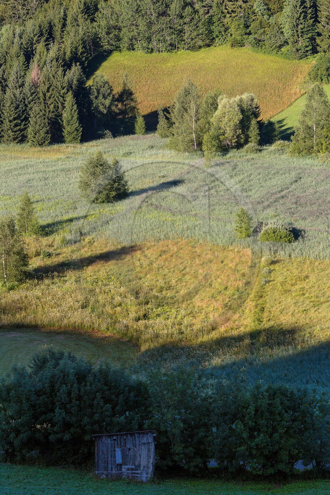 ENS de l'Isère, Marais des Sagnes