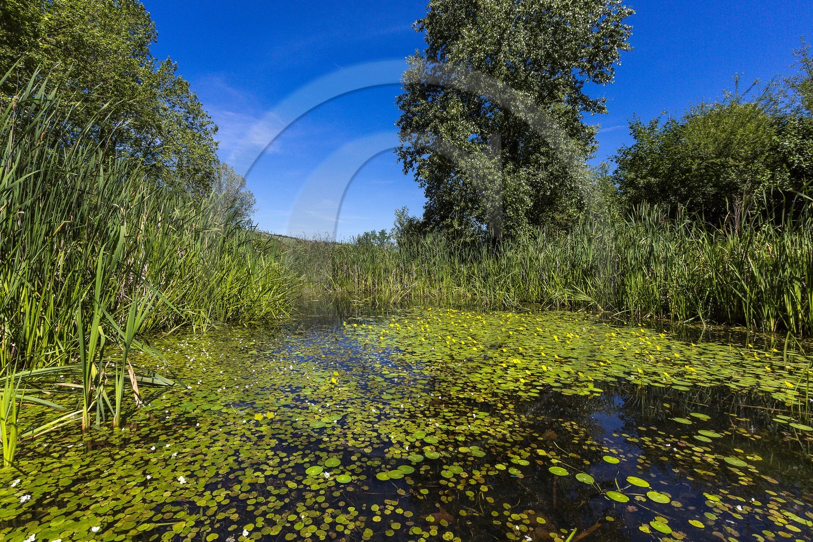 ENS de l'Isère, , le méandre des Oves