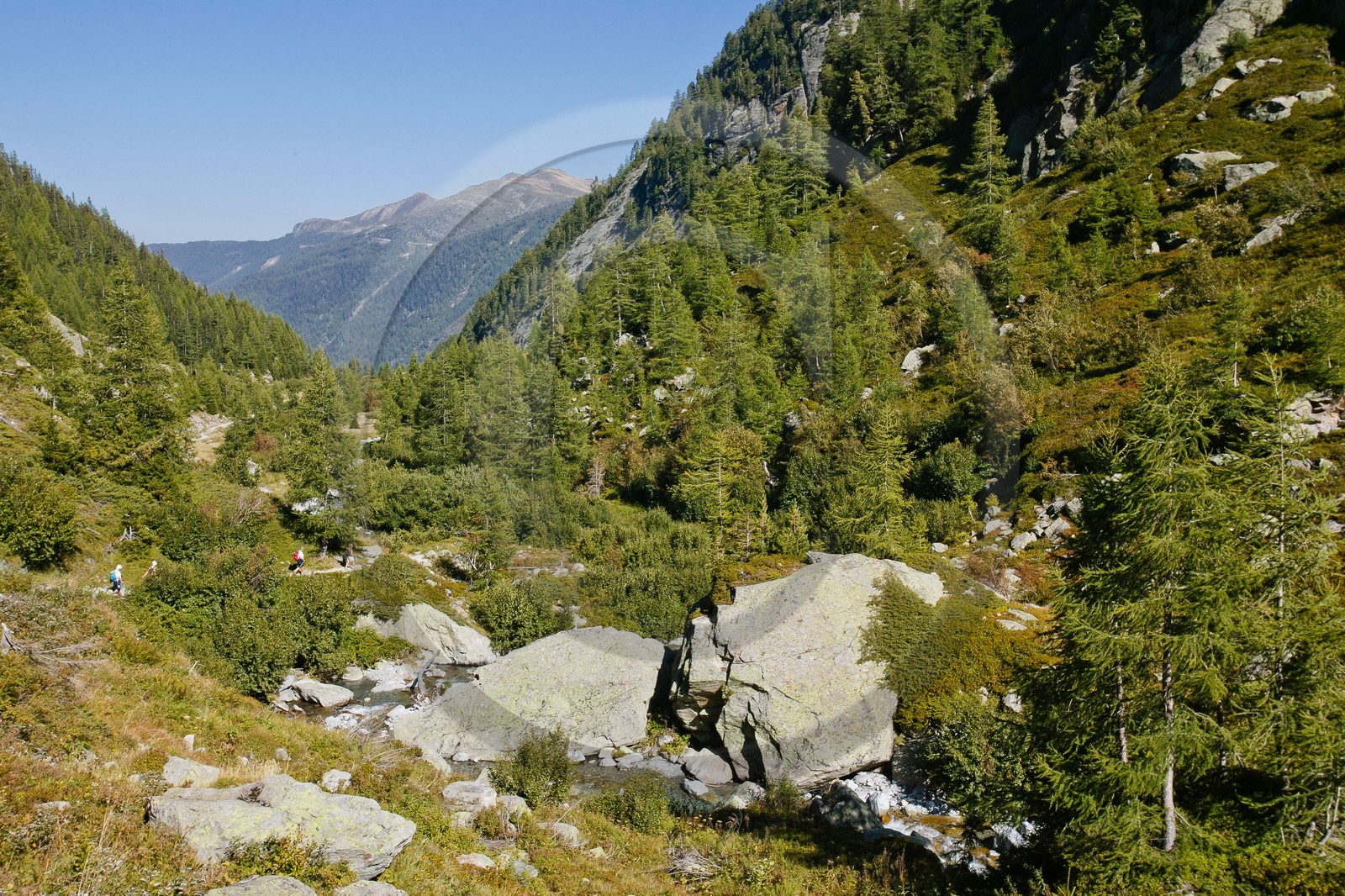 Réserve naturelle du Vallon de Bérard