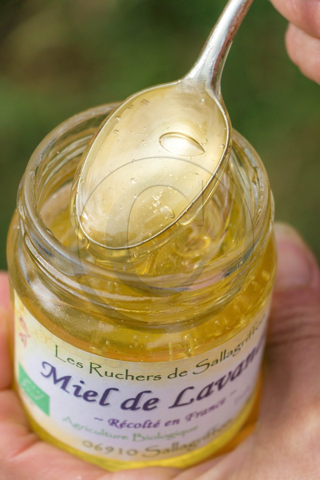 Les ruchers de Sallagriffon, Florence Bonnard