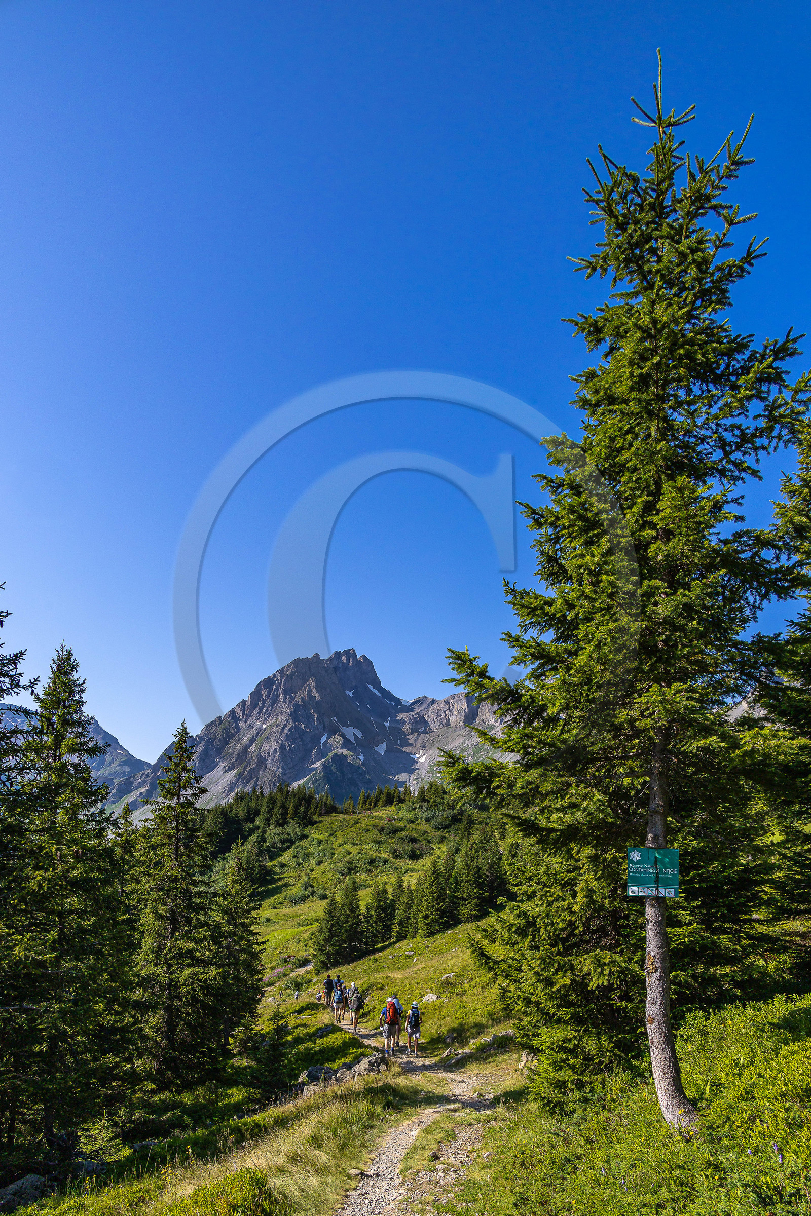 Réserve Naturelle des Contamines-Montjoie, randonnée pédestre