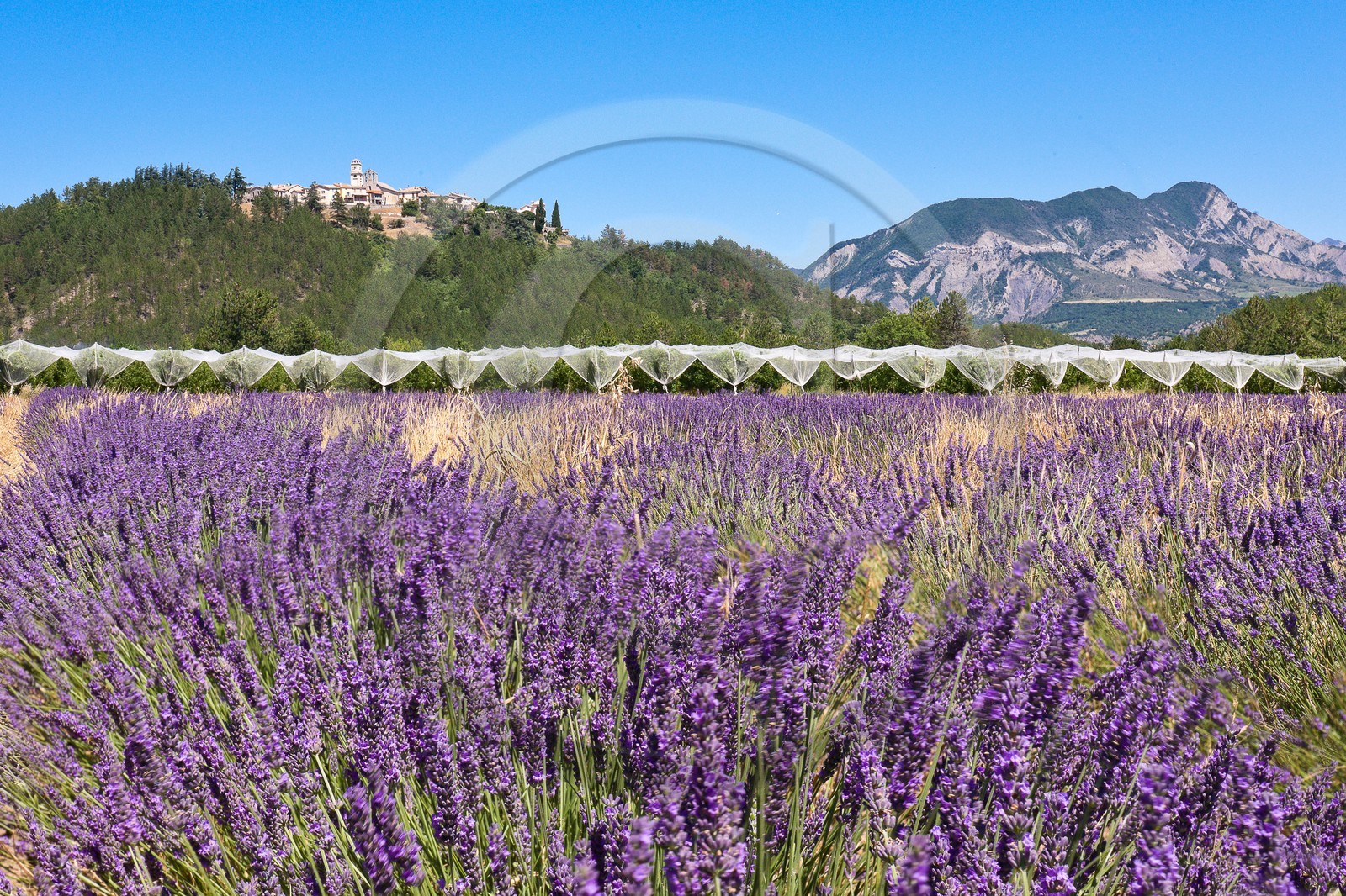 Village perché de Ventavon