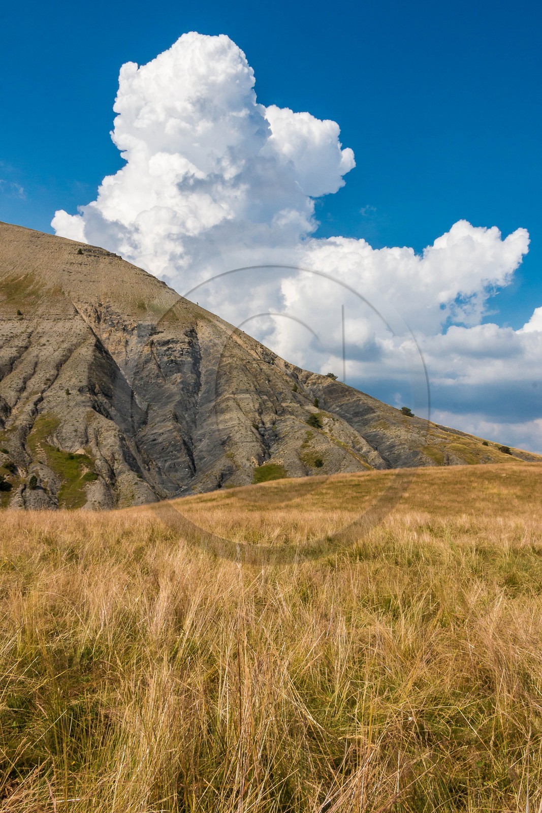 Les Monges, col de Combanière , Les Barbencs, Chabanon, le Bressa
