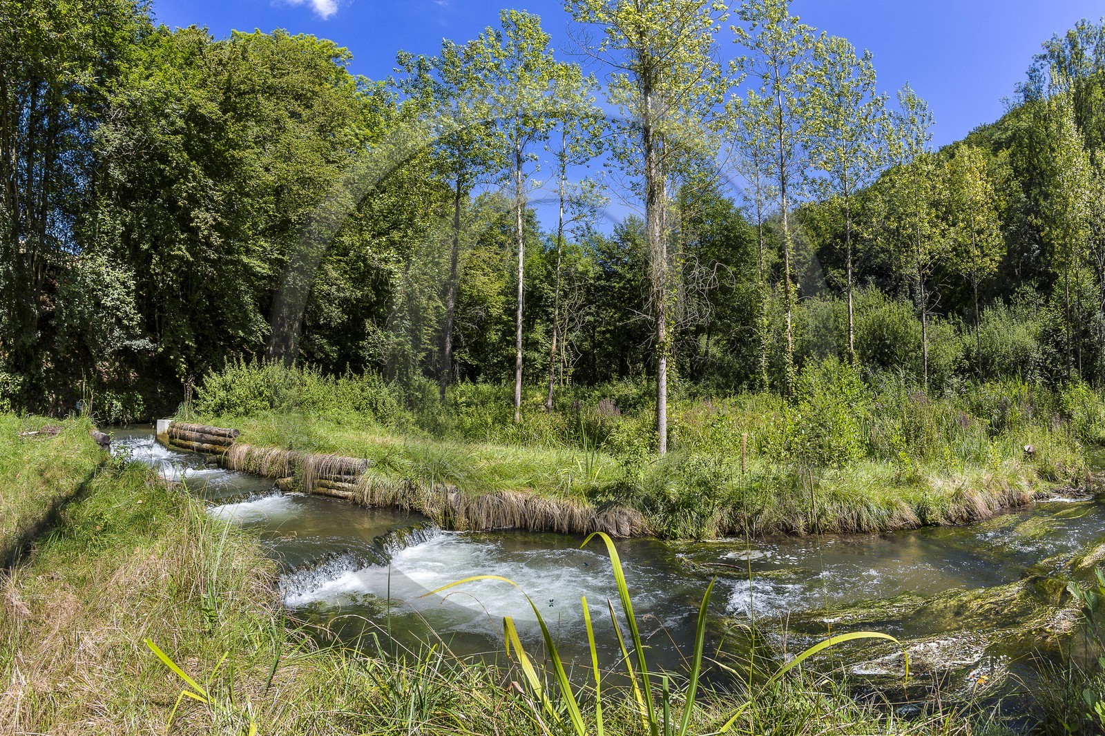 ENS de l'Isère, étang de Cote Manin