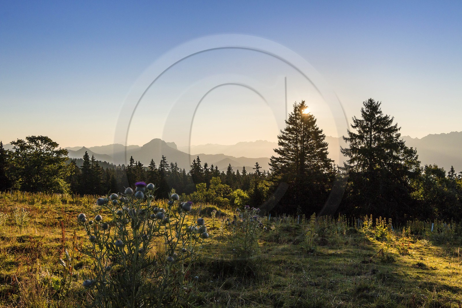 ENS de l'Isère, Plateau de la Molière et du Sornin
