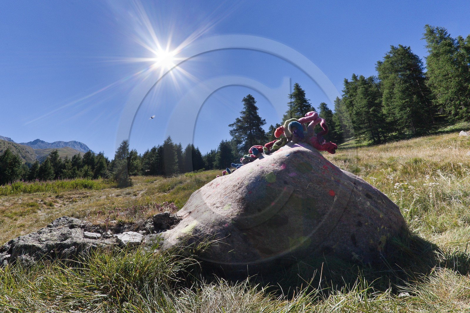 Sentiers Art et Nature Queyras et Val Varaita, Stéphanie Cailleau