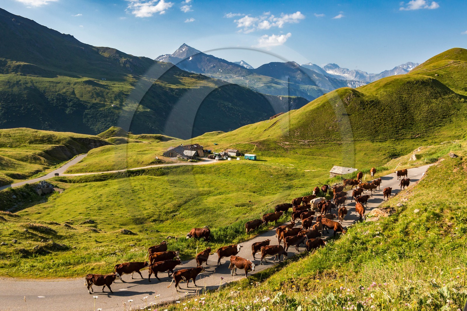Termignon, alpage de Chavières