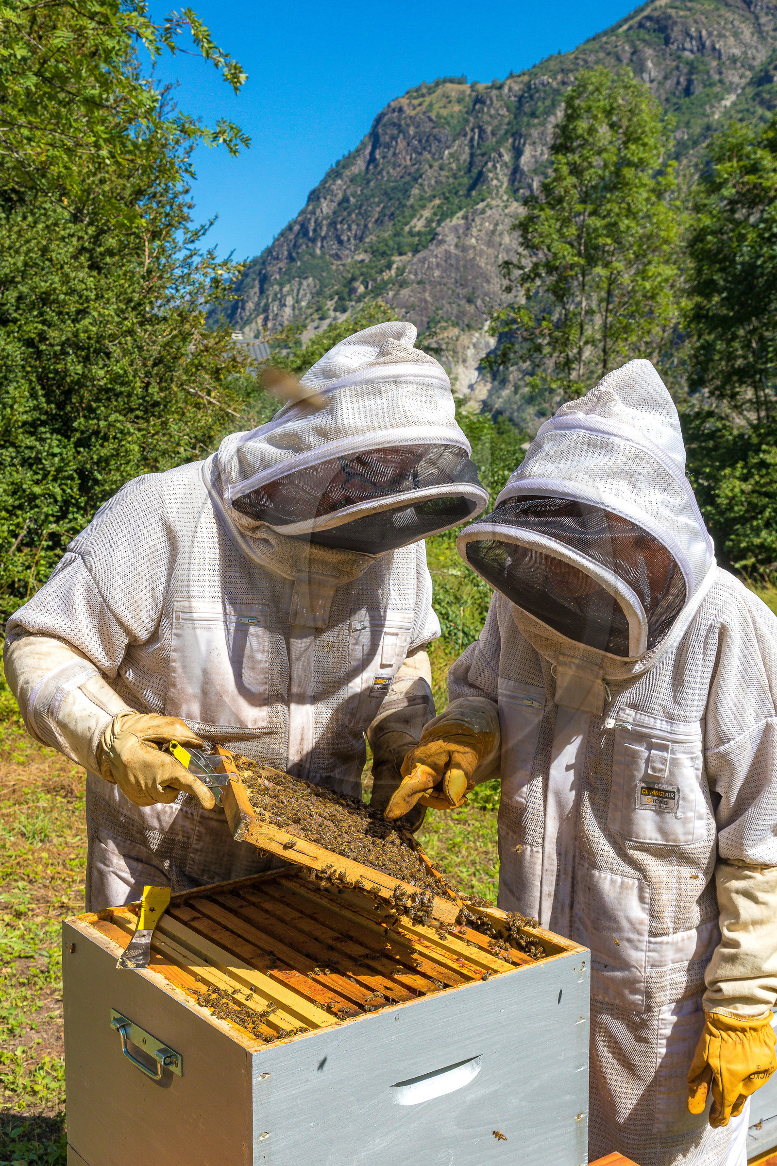 Margaux and Didier Pissard, beekeepers