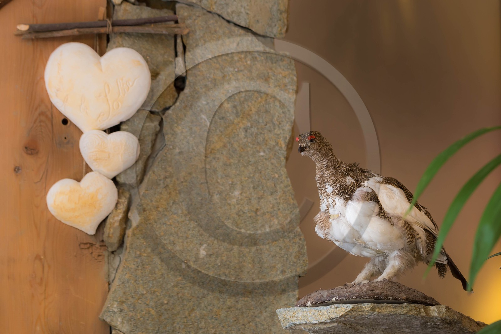 Hôtel restaurant spa Les Bartavelles