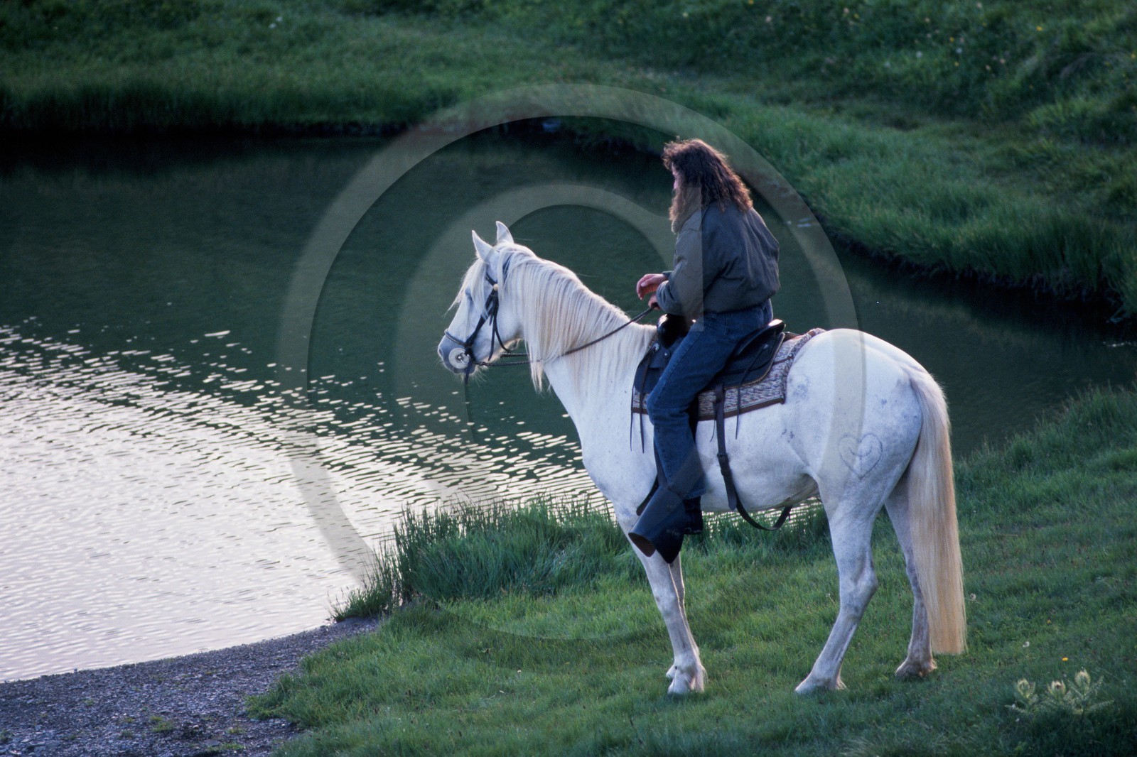 Equitation