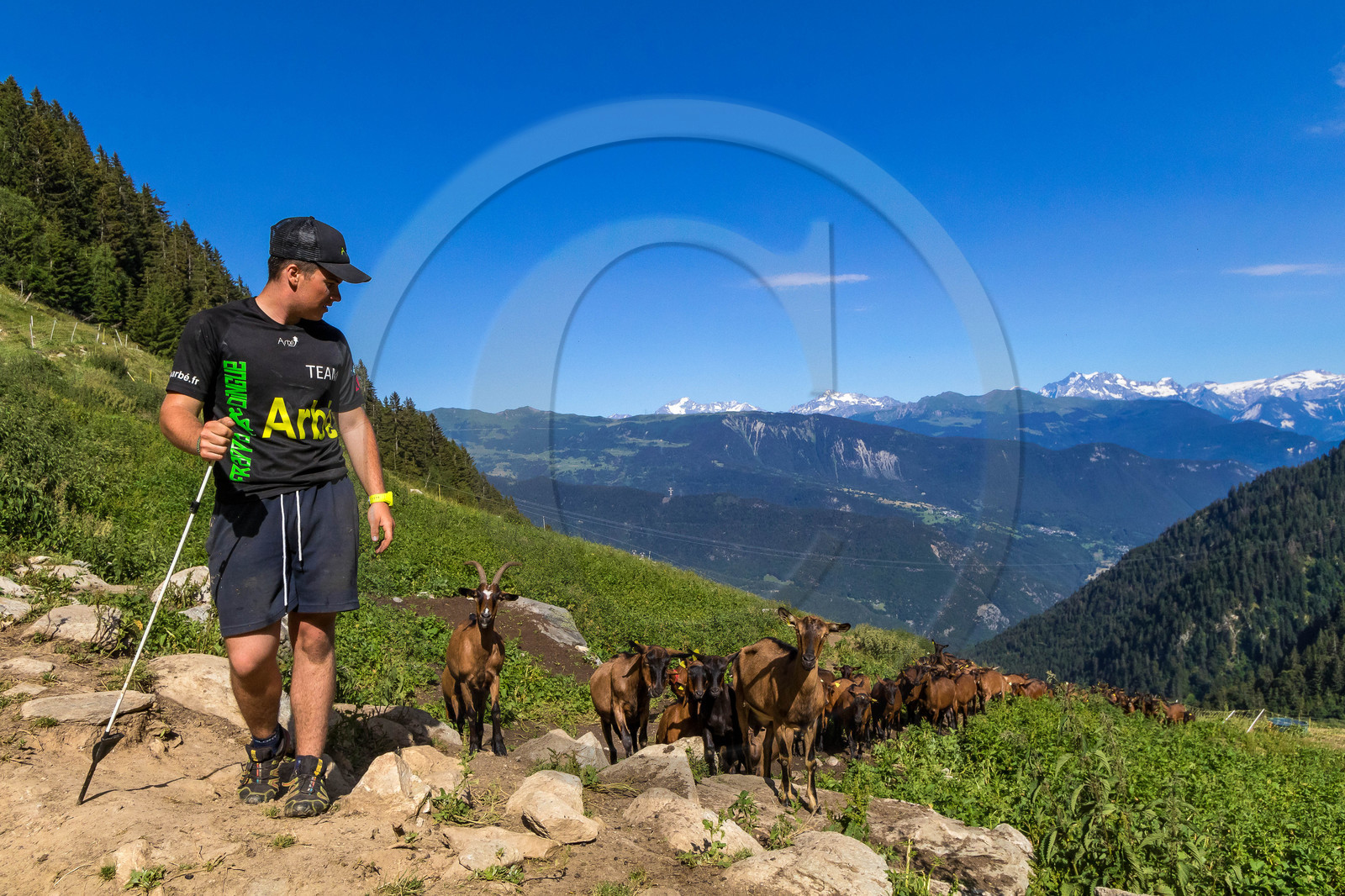 Gaec La chèvrerie des Combettes