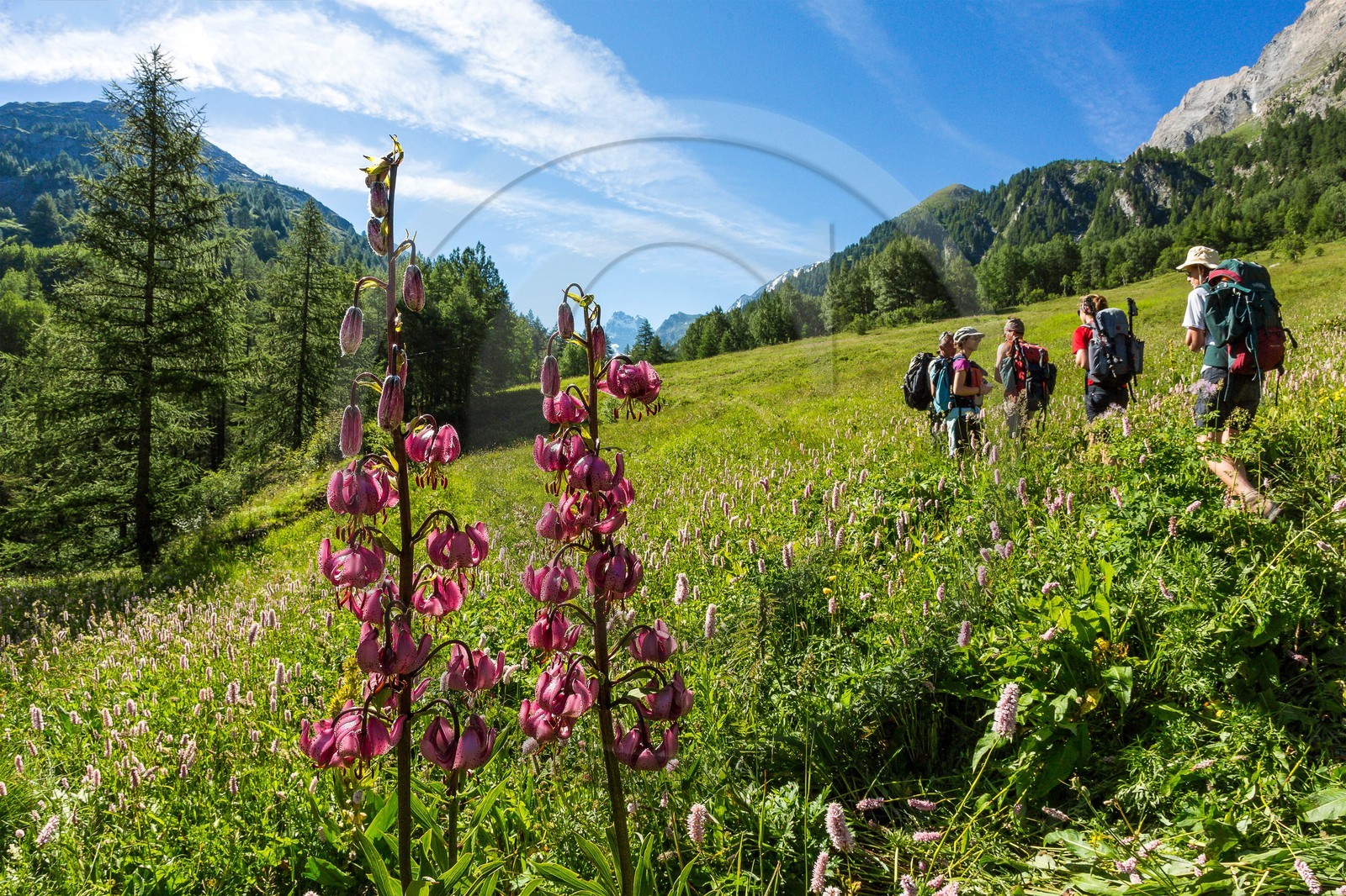 Réserve naturelle de Ristolas-Mont Viso, randonnée au petit belvédère du Viso