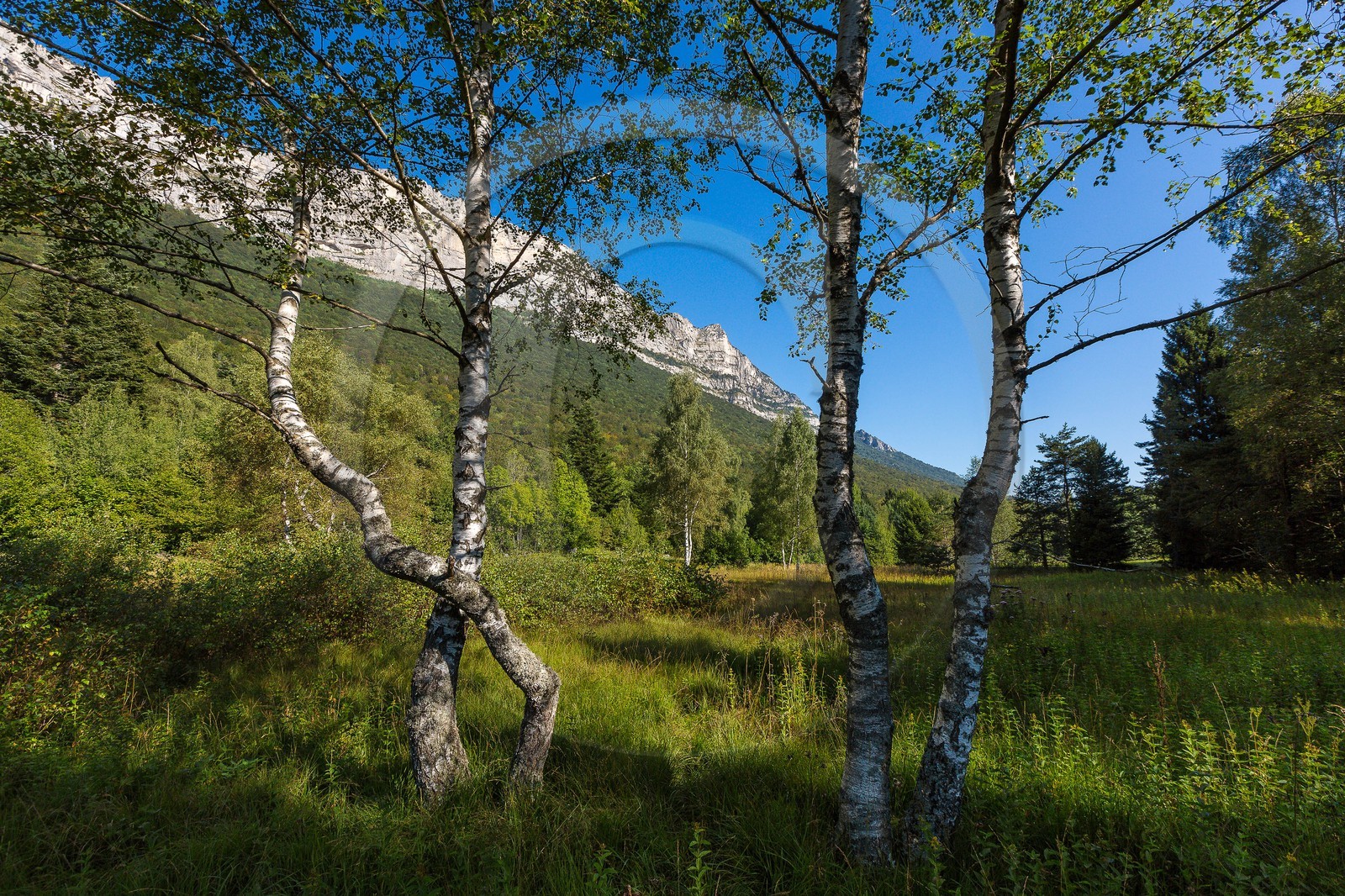 ENS de l'Isère,Tourbières du Peuil