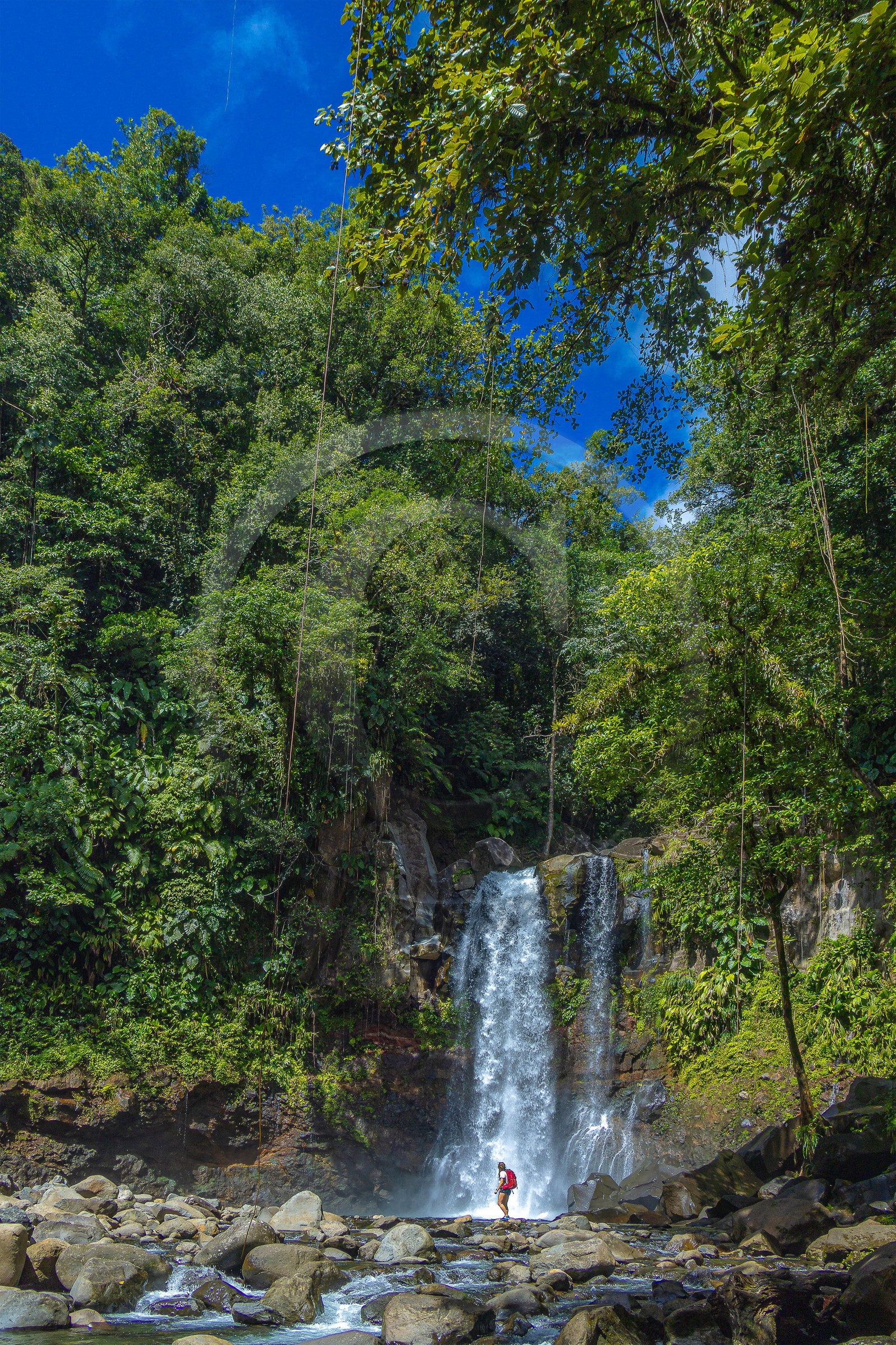 Chute du Carbet, Parc national de la Guadeloupe