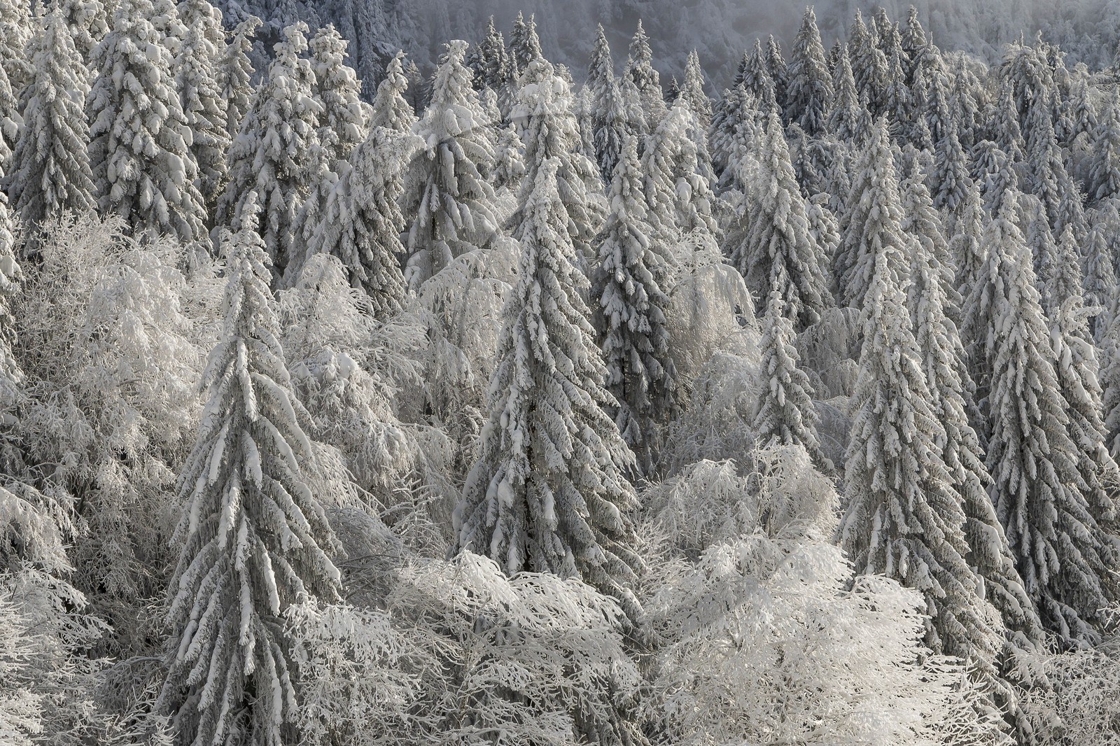 ENS de l'Isère, Les Ecouges