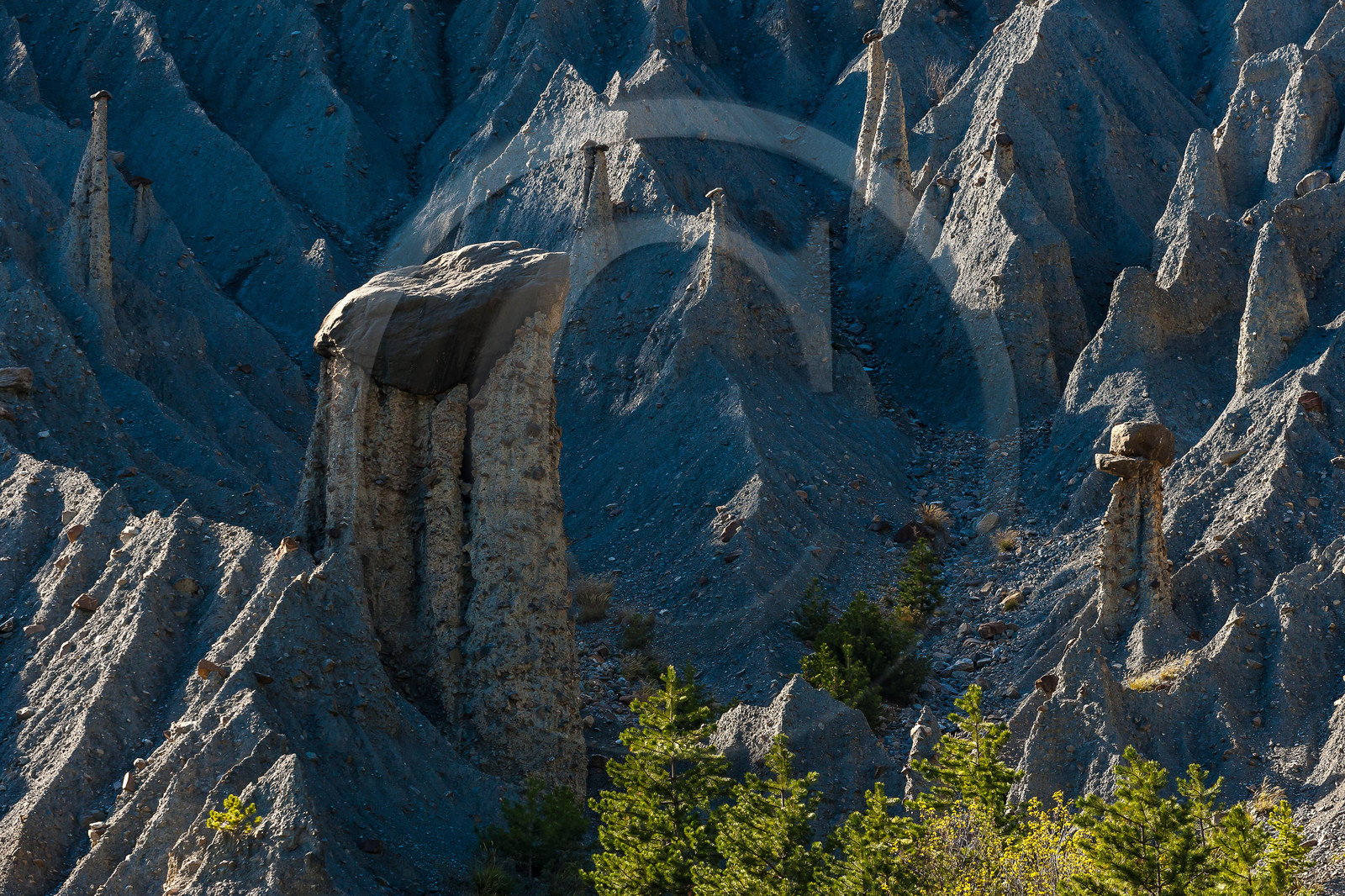 Salle de Bal des Demoiselles Coiffées