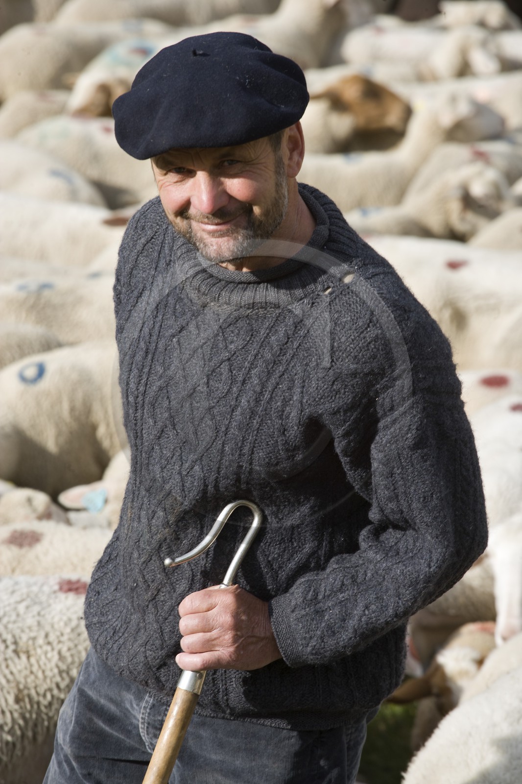 Pierre Barban, berger