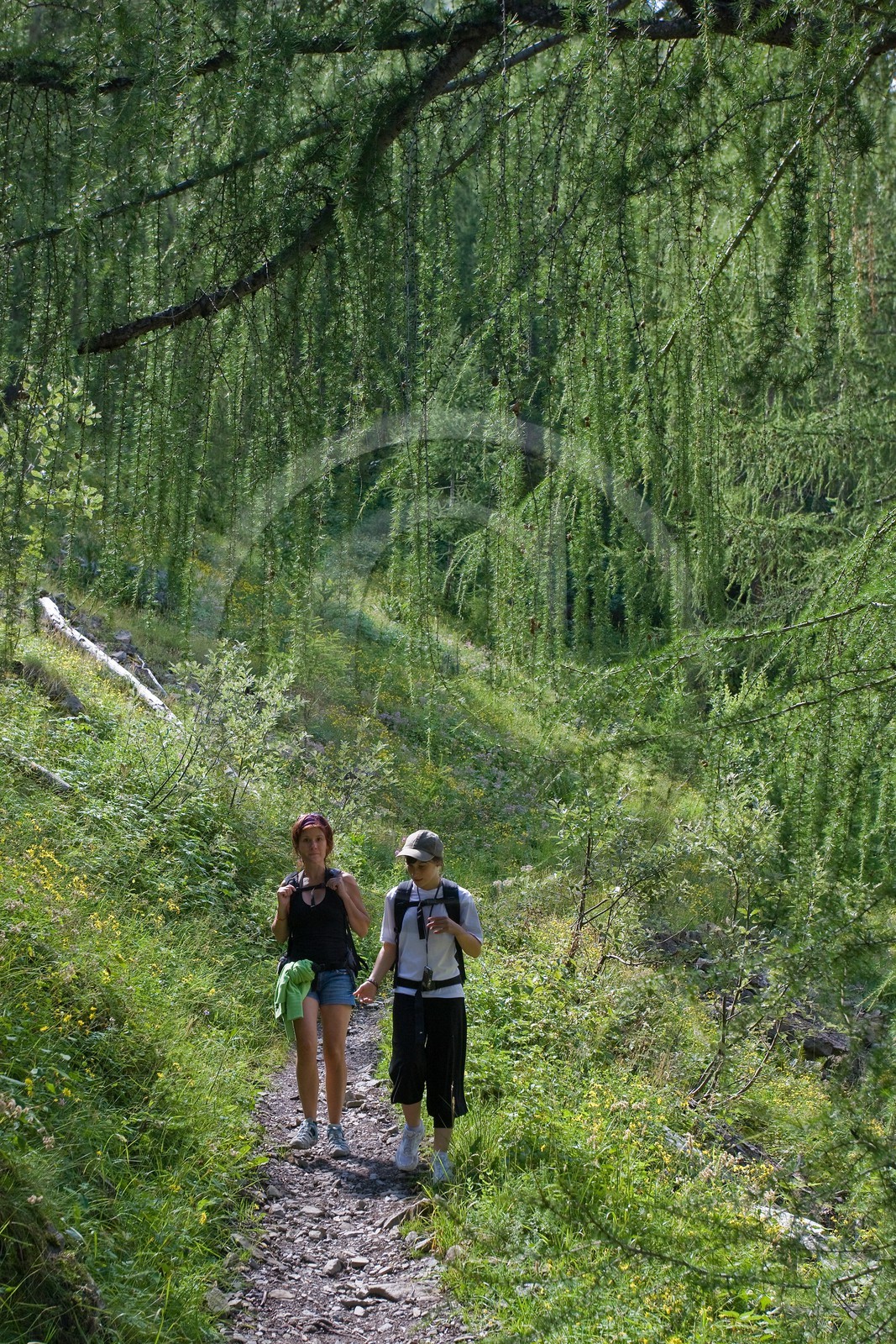 Randonnée dans le vallon du Tourond