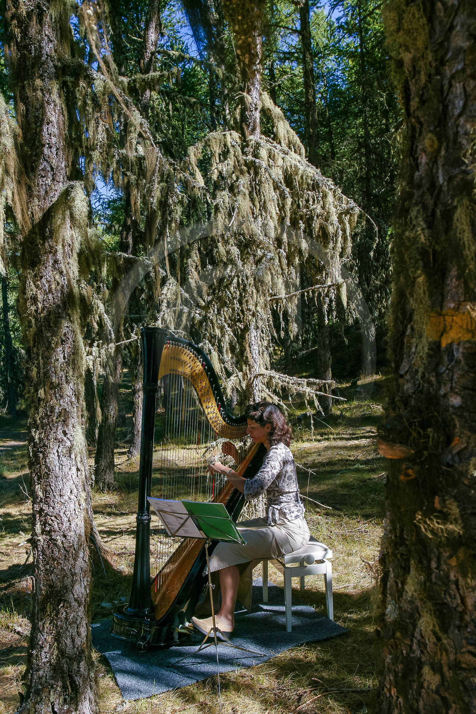 Festival de Chaillol, Iris Topalian, harpe