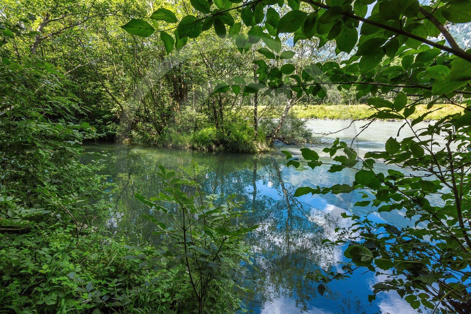 ENS de l'Isère, Vieille morte de Bourg d'Oisans