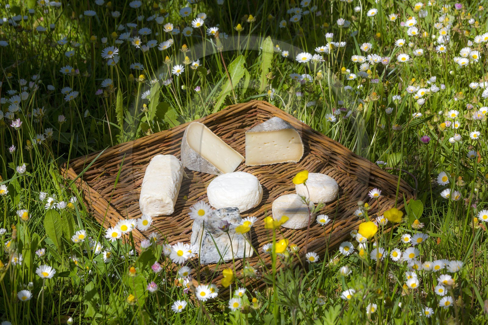 Noémie Kreiss et Julien Kaquet, Ferme des Cabrioles
