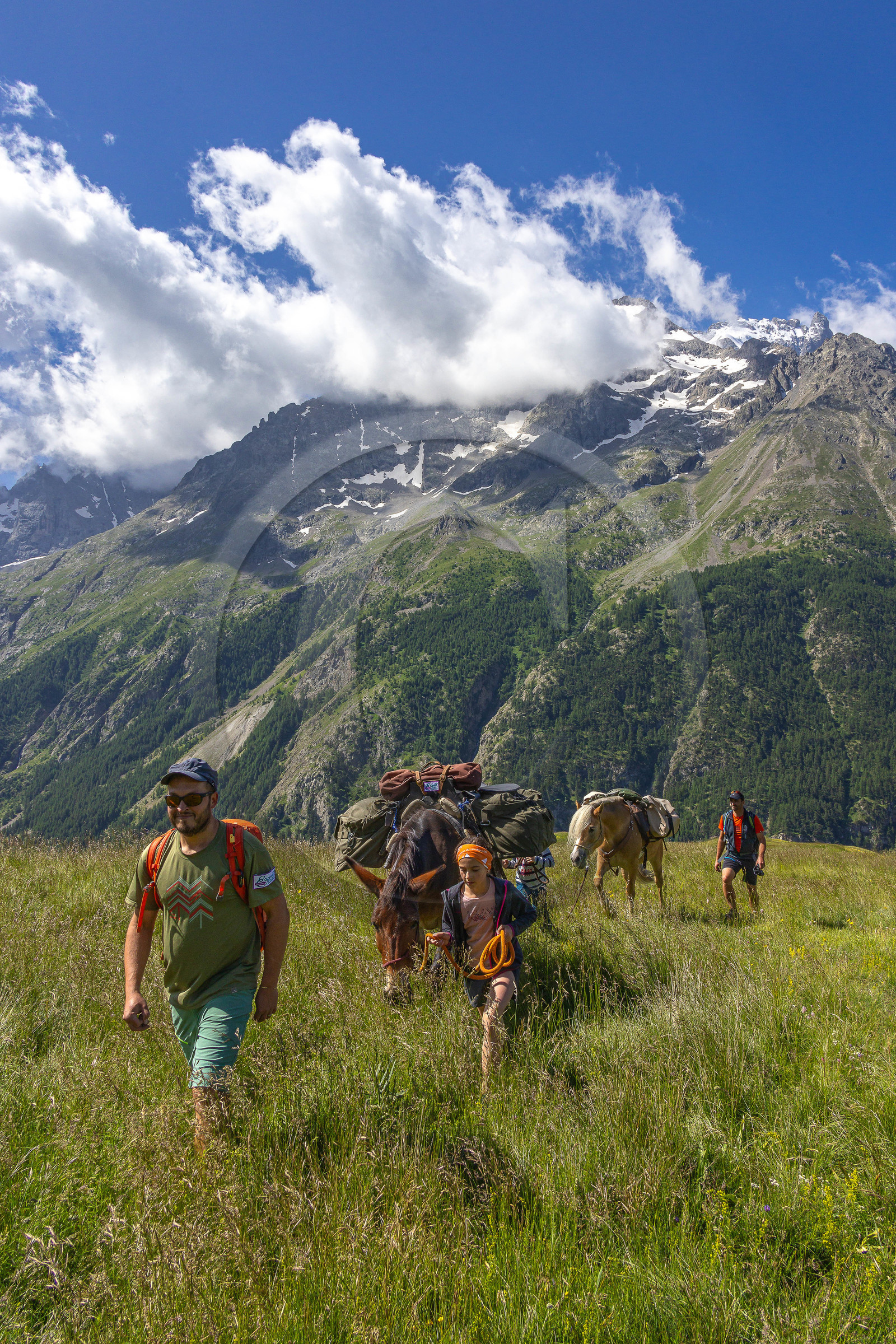 Trek famille avec animaux de bats