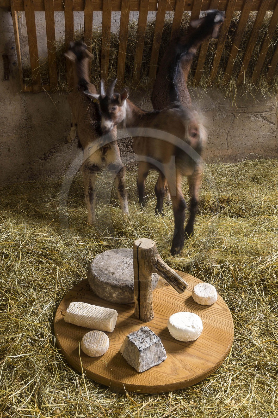Noémie Kreiss et Julien Kaquet, Ferme des Cabrioles