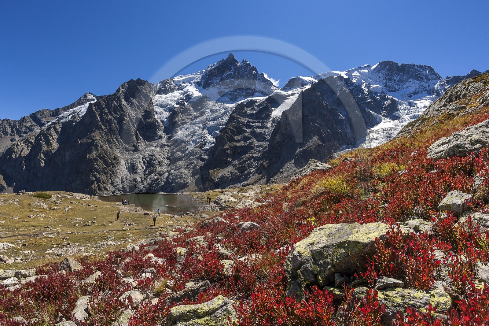 La Meije, La Grave