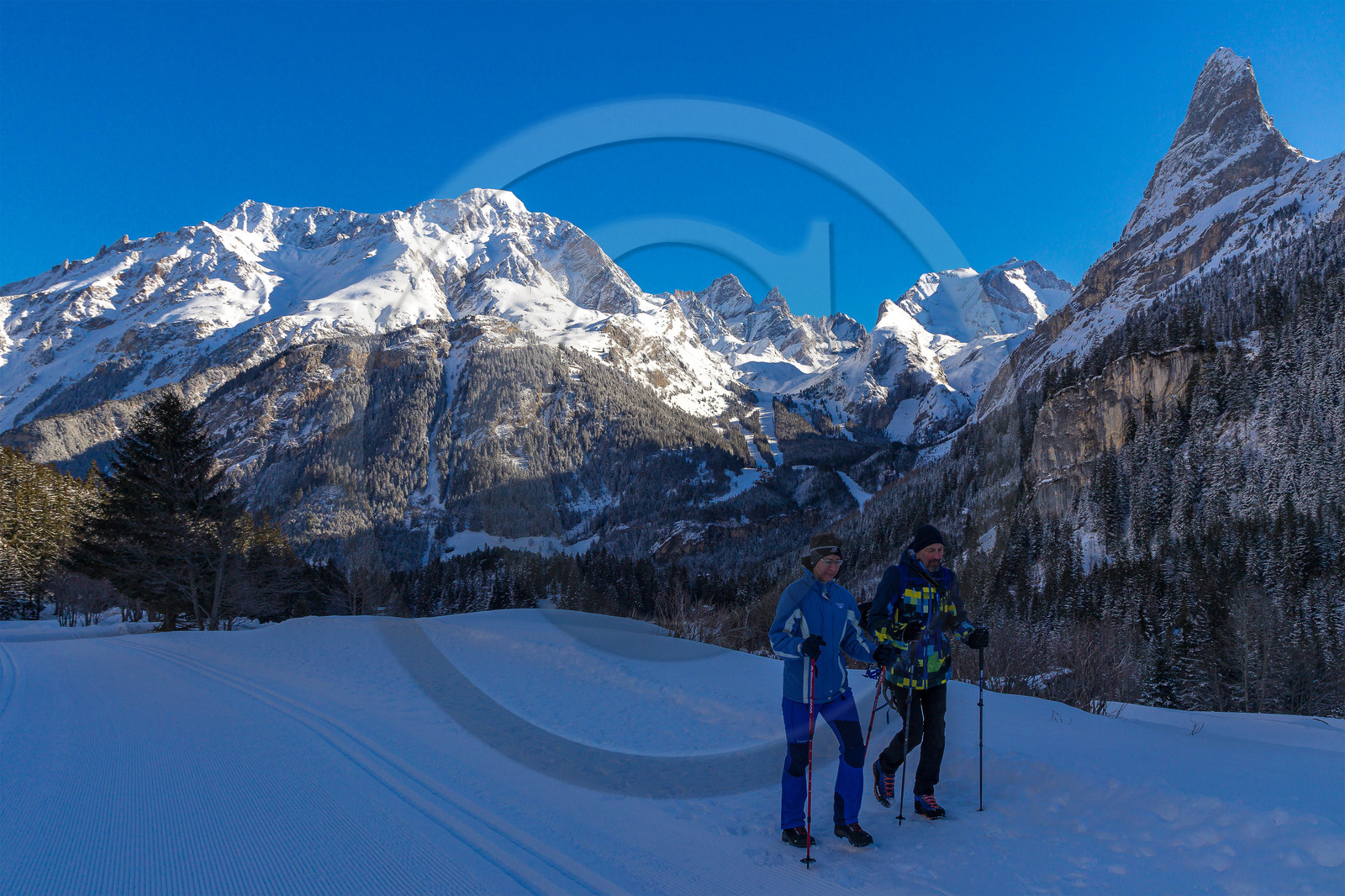 Pralognan-la-Vanoise, La Chollière