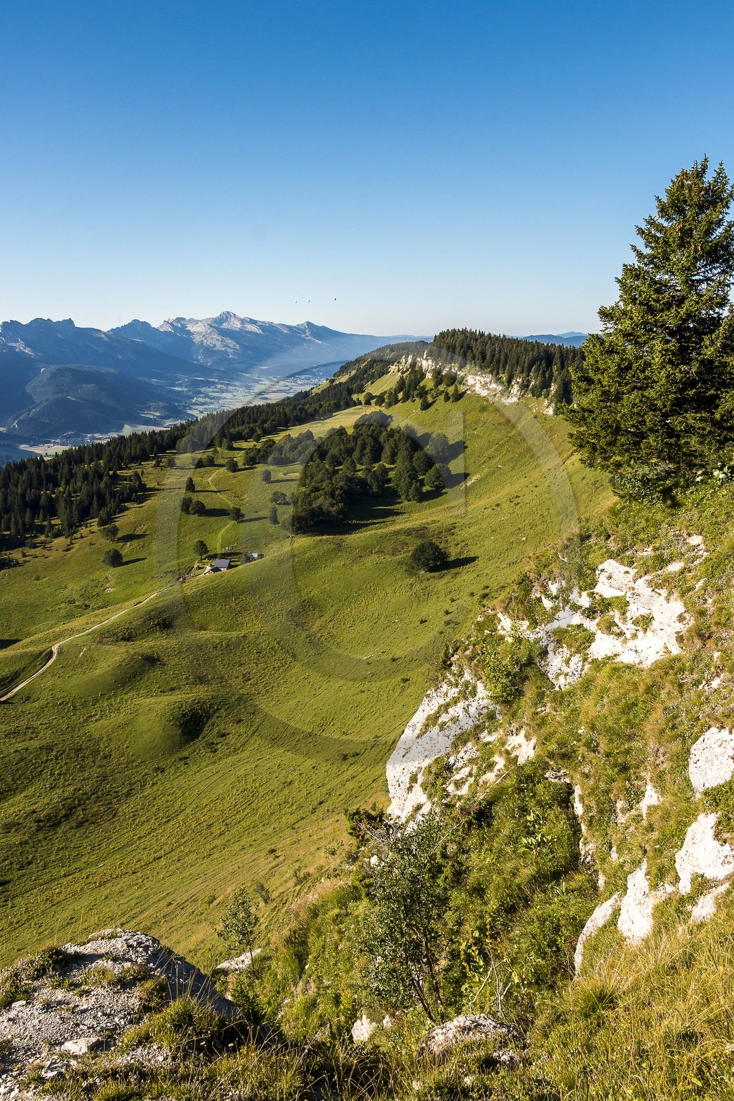 ENS de l'Isère, Plateau de la Molière et du Sornin