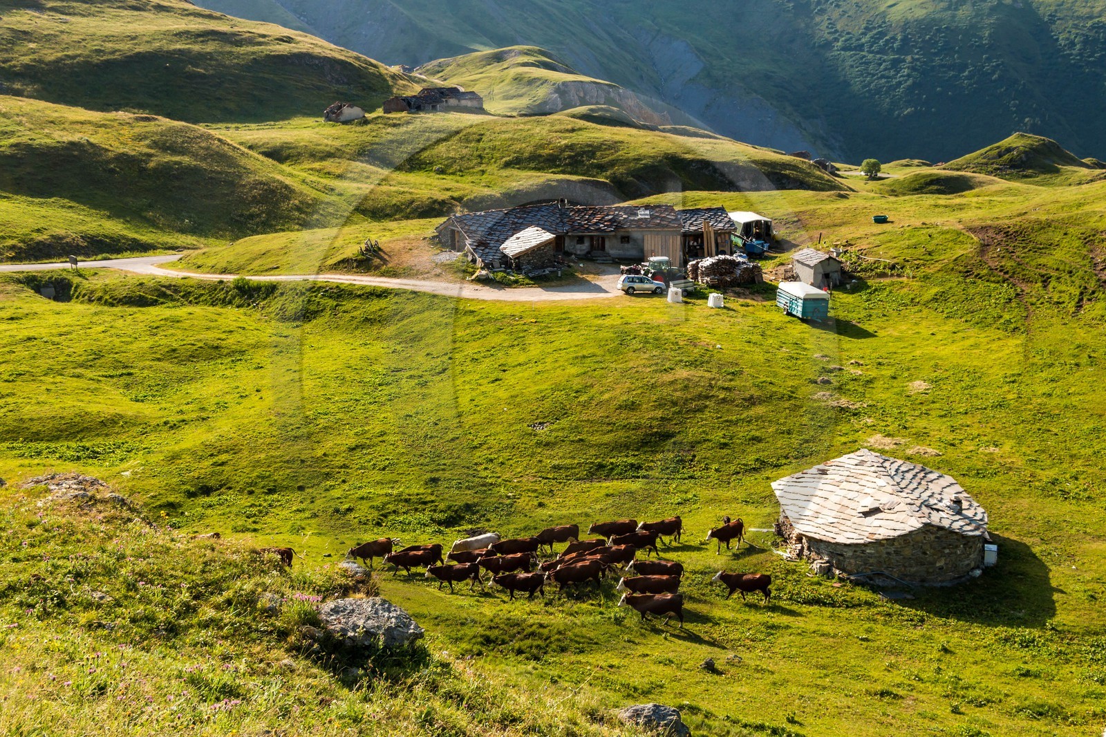 Termignon, alpage de Chavières