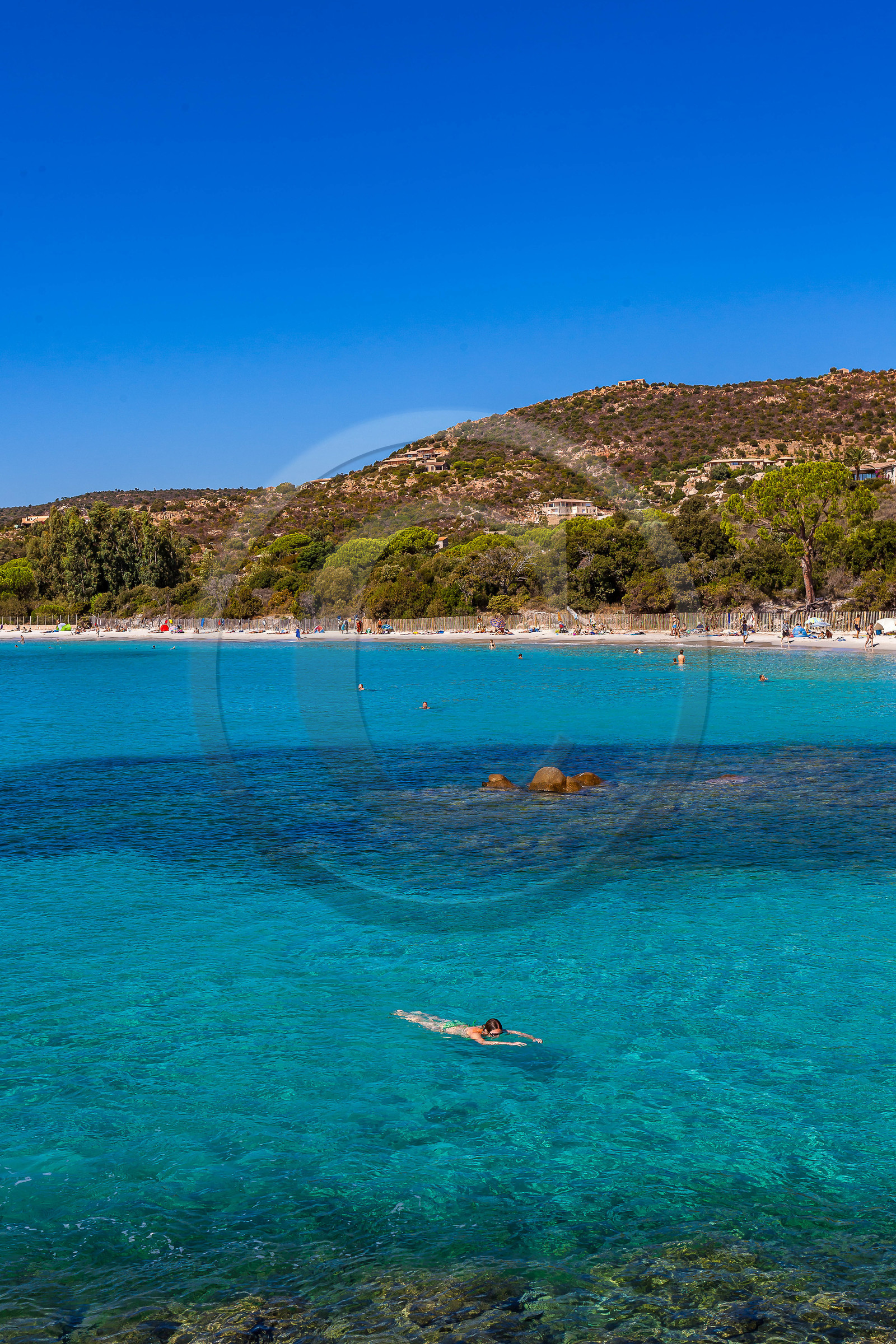 Porto-Vecchio, snorkeling à Palombaggia