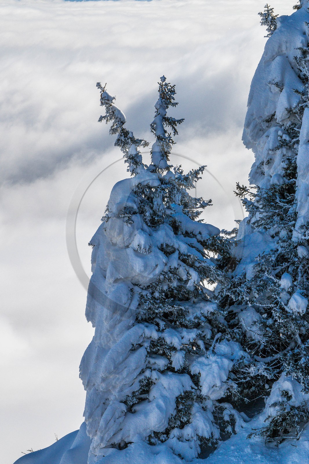 ENS de l'Isère, Plateau de la Molière et du Sornin