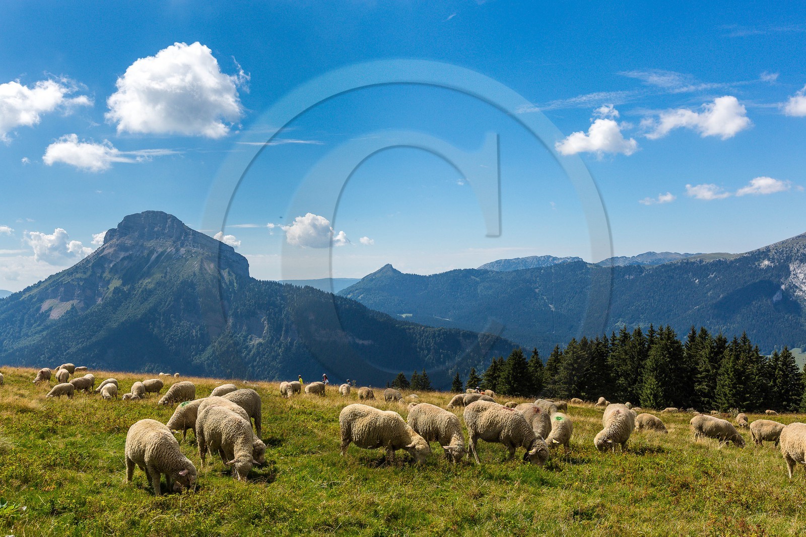 Espace naturel sensible de l'Isère, Col du Coq