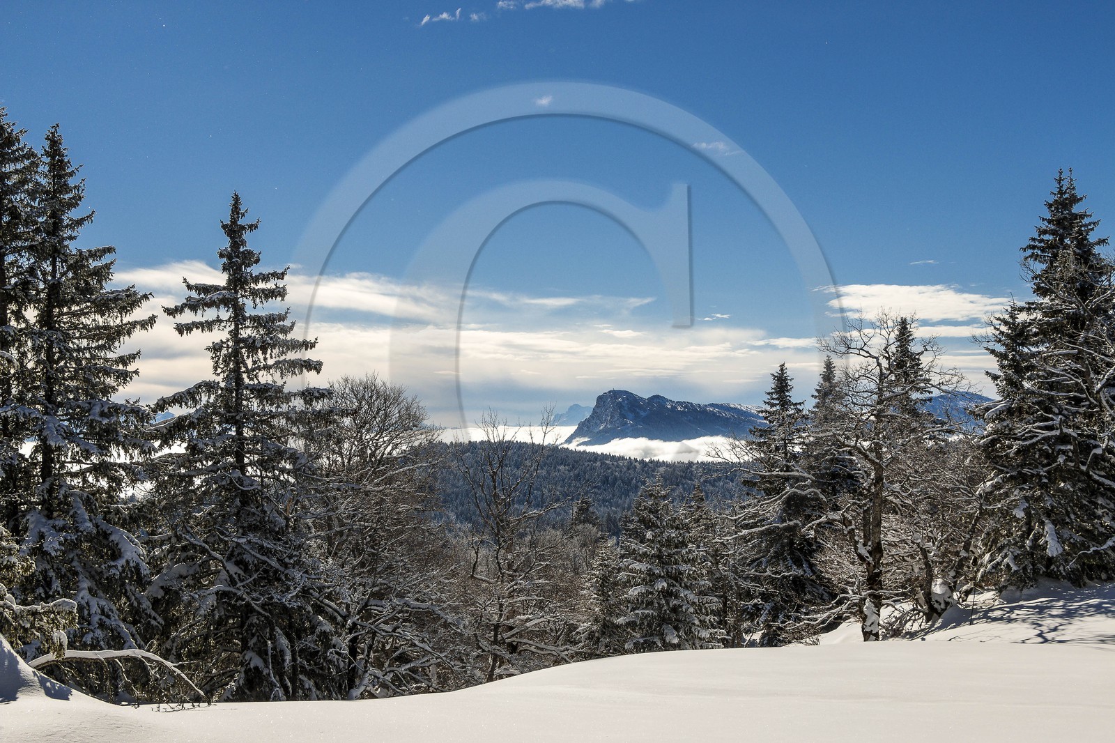 ENS de l'Isère, Plateau de la Molière et du Sornin