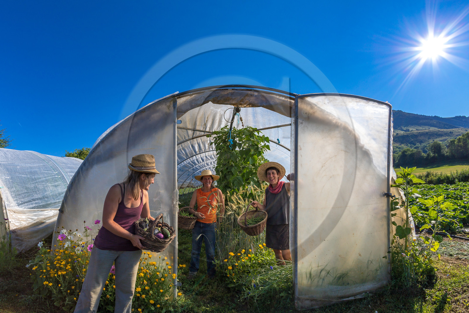 LéguMontagne, Sylvie Jaussaud et  Bertille Gieu, Maraîchères bio